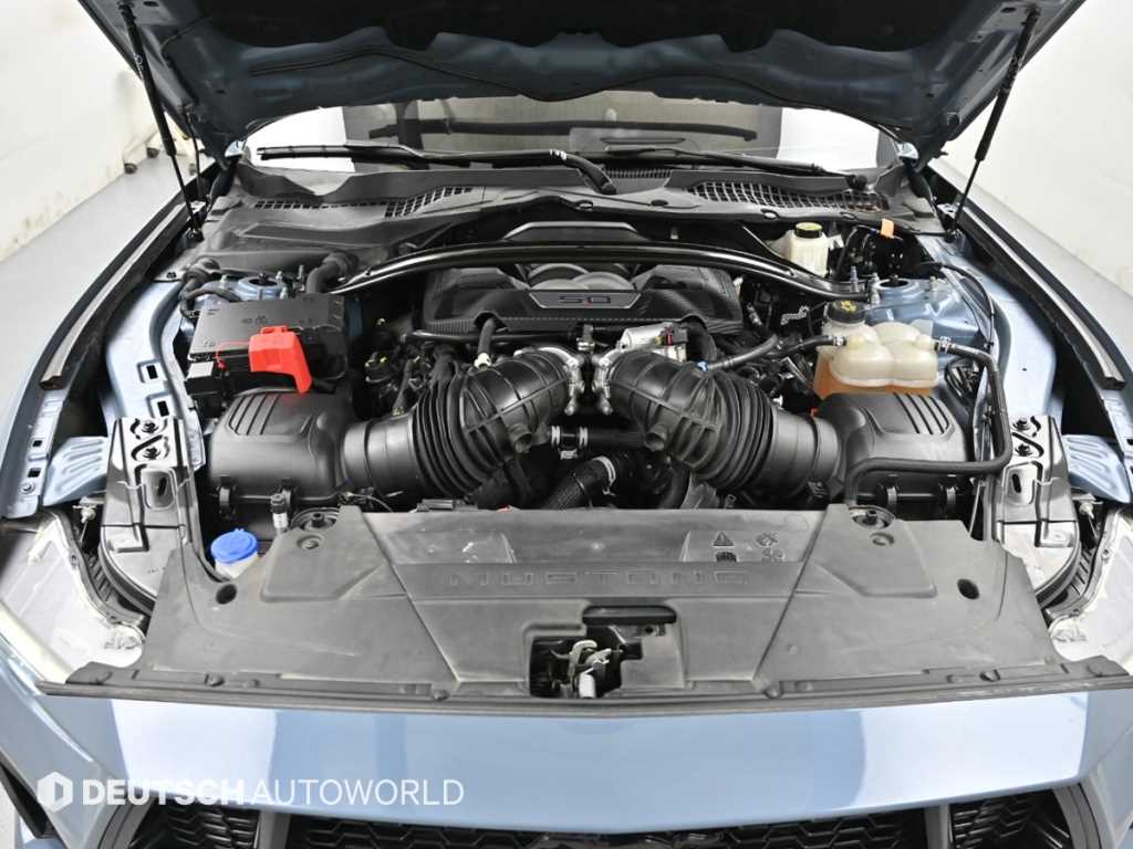 Ford Mustang — photo 06