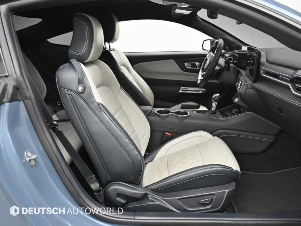 Ford Mustang — photo 10