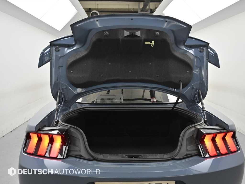 Ford Mustang — photo 19