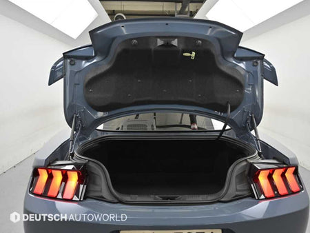 Ford Mustang — photo 19