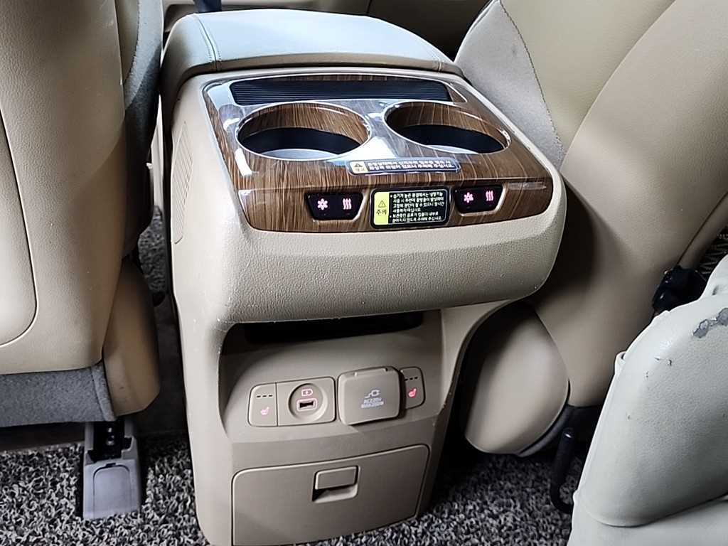 Kia Carnival — photo 13