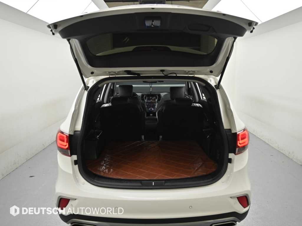 Hyundai Maxcruz — photo 19