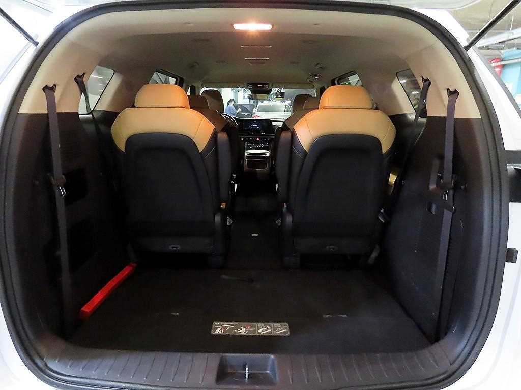 Kia Carnival — photo 17