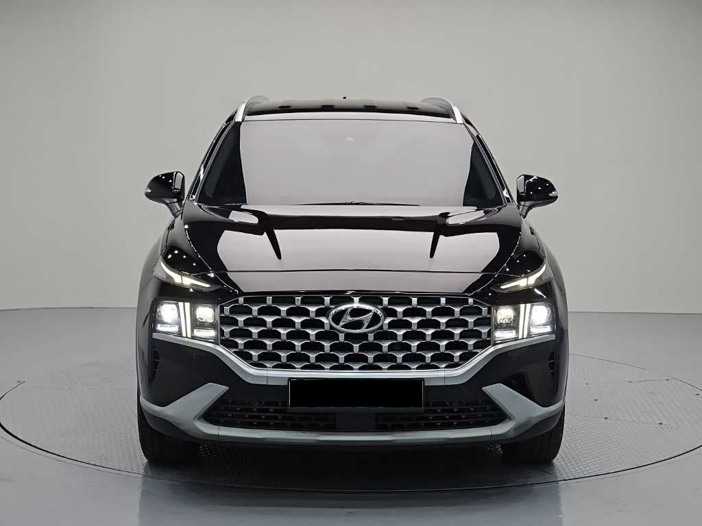 Hyundai Santafe — photo 02