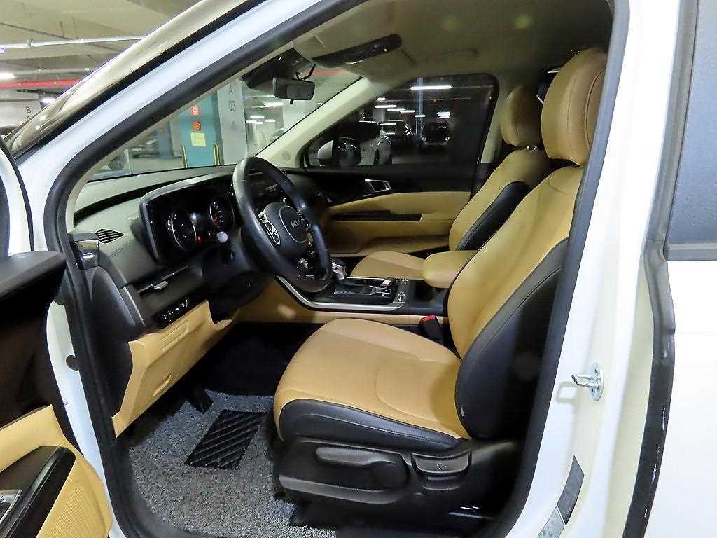 Kia Carnival — photo 06