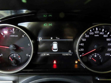 Kia Carnival — photo 09