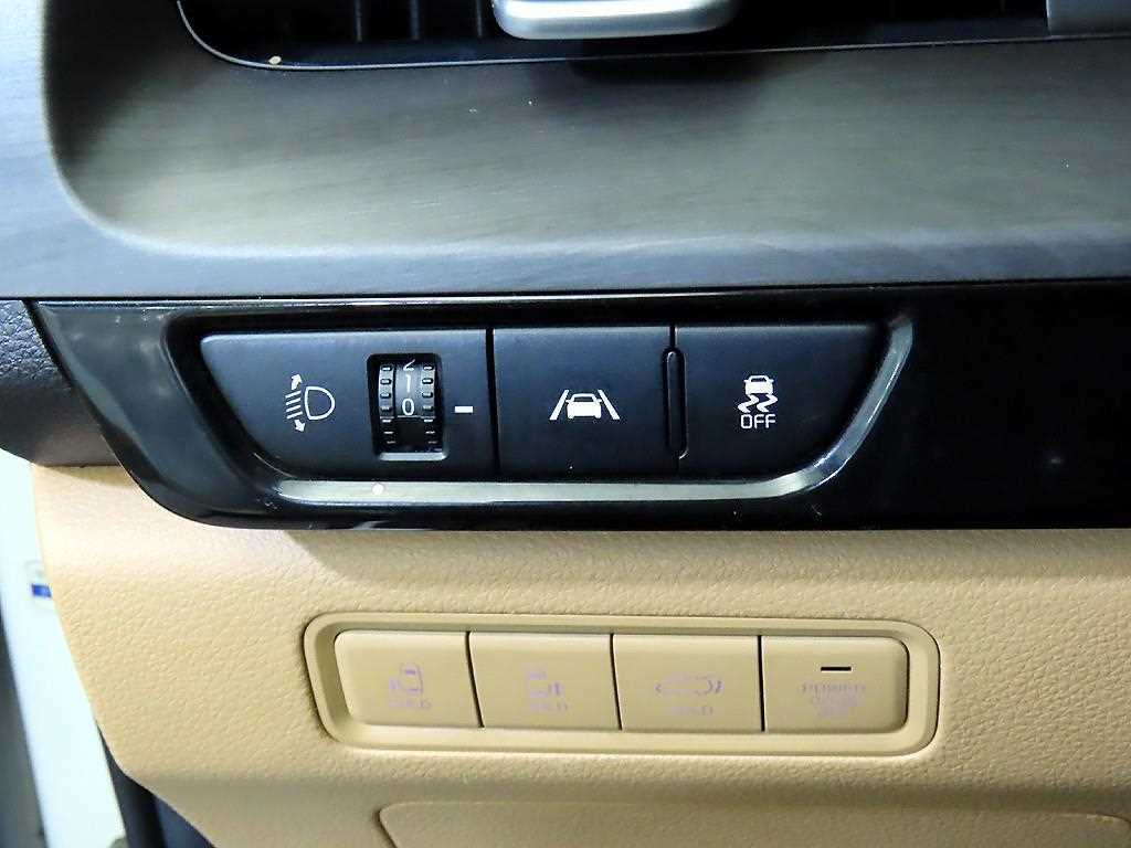 Kia Carnival — photo 13