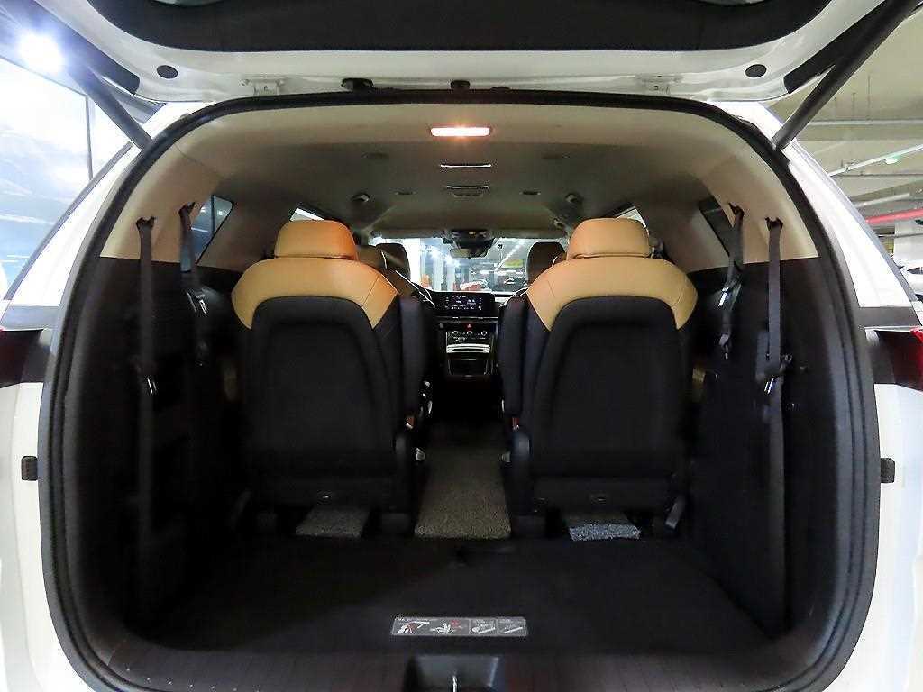 Kia Carnival — photo 18