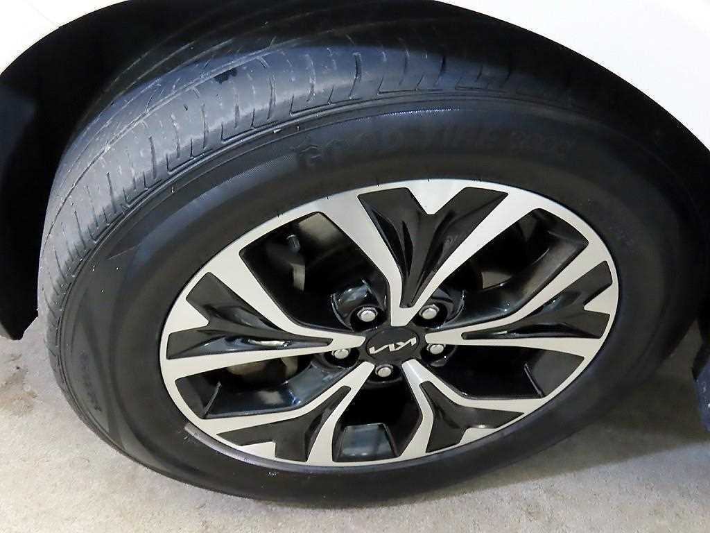 Kia Carnival — photo 20