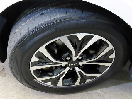 Kia Carnival — photo 20