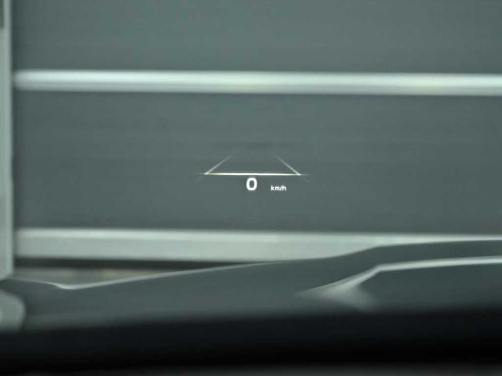 Kia K9 — photo 18