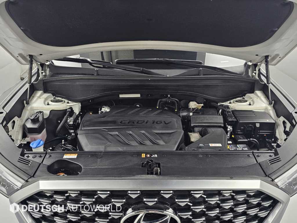 Hyundai Palisade — photo 06