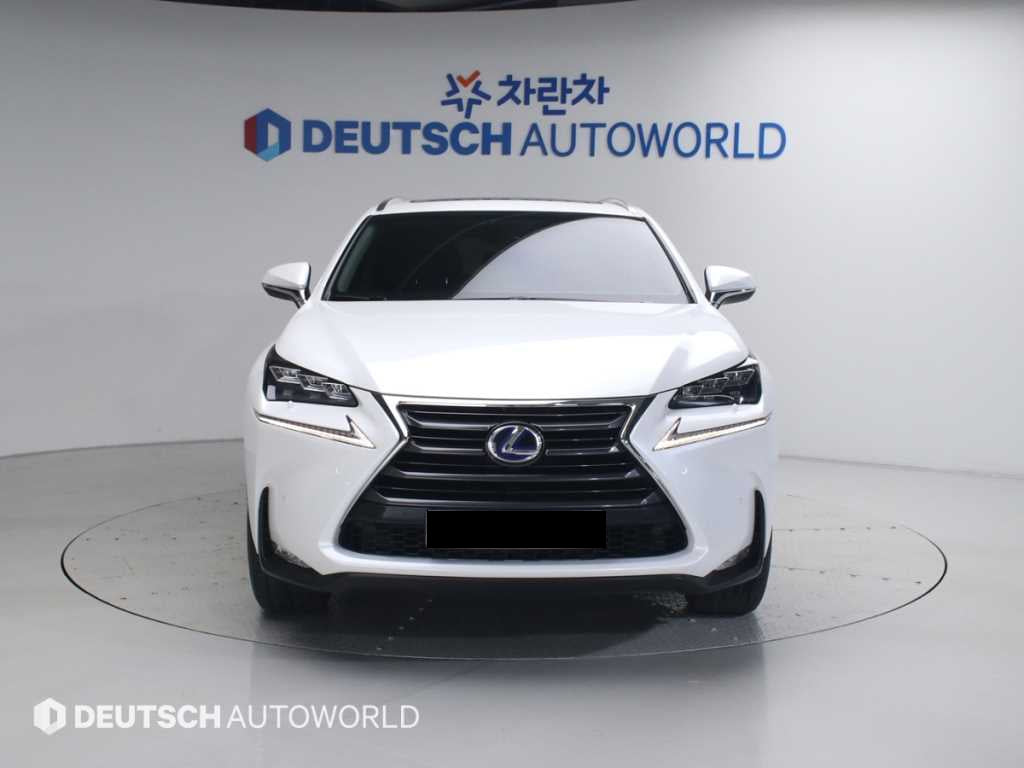Lexus NX — photo 03