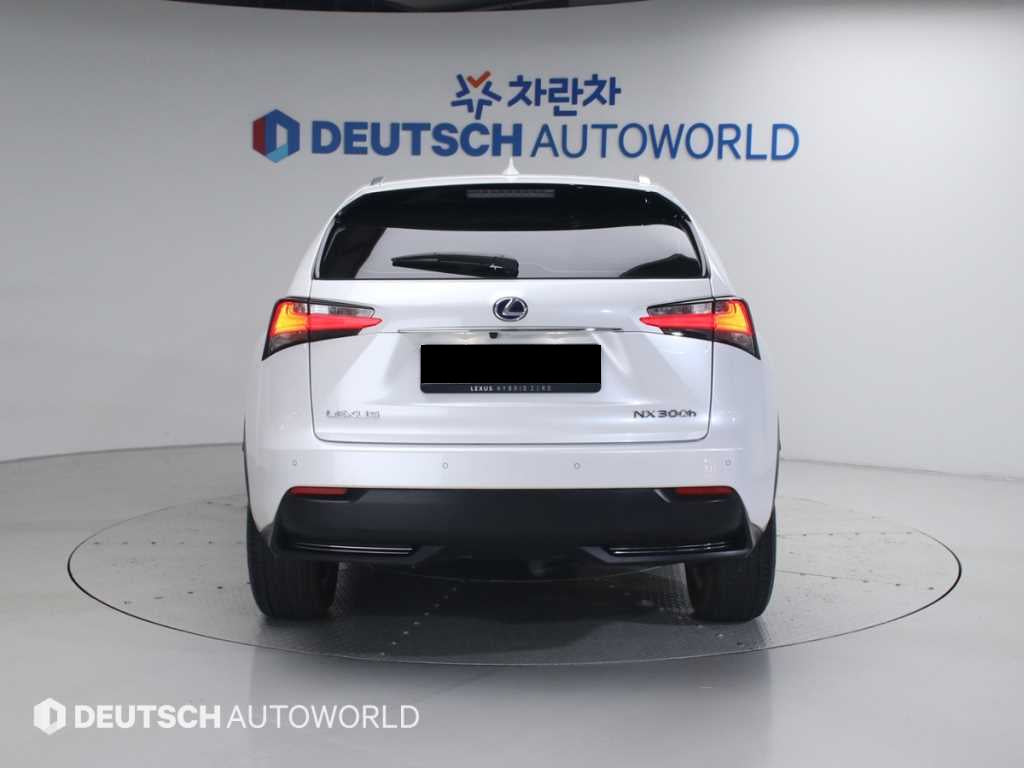Lexus NX — photo 04