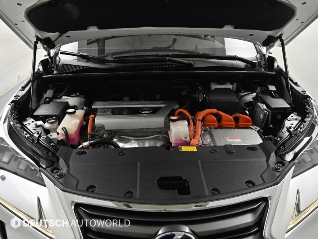 Lexus NX — photo 06