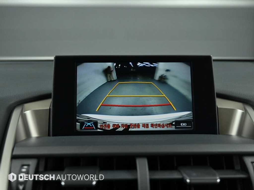 Lexus NX — photo 15