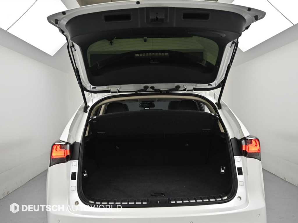 Lexus NX — photo 19