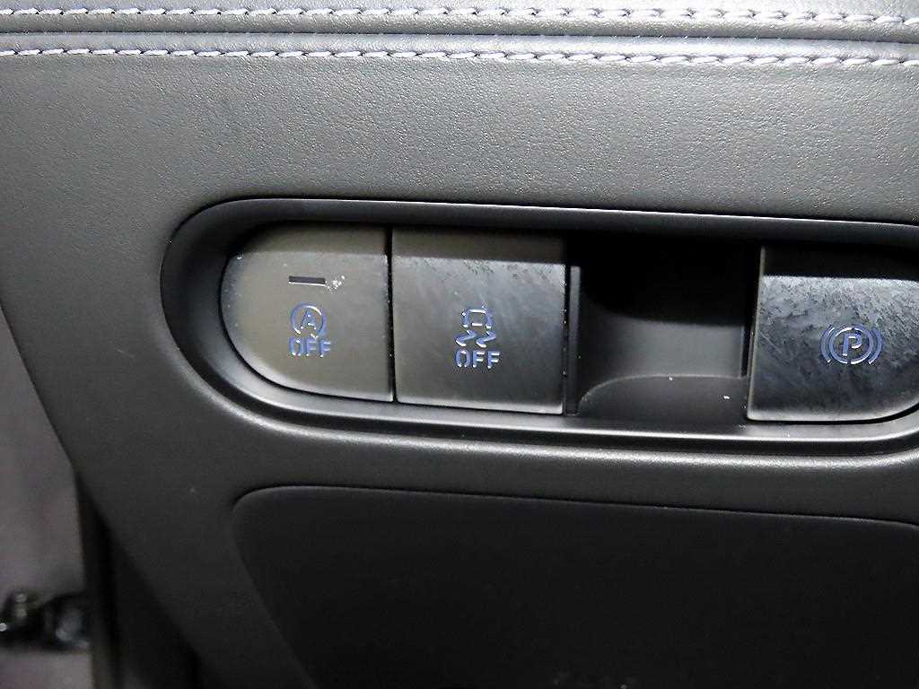 Genesis G90 — photo 14