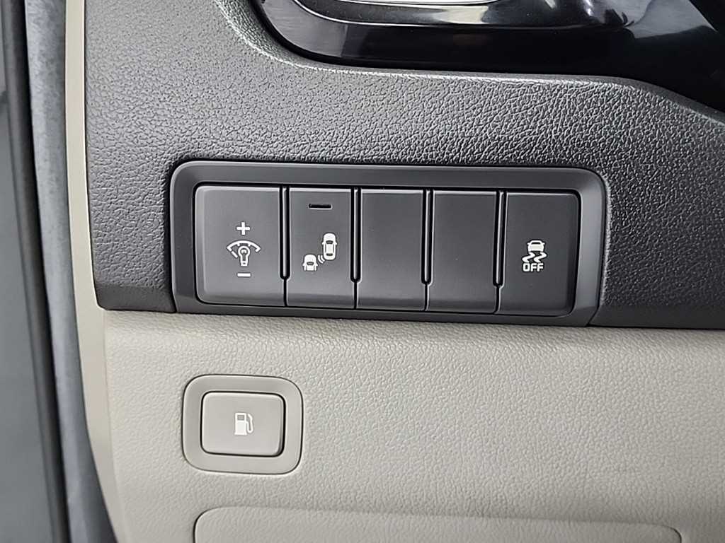 Kia Carnival — photo 18