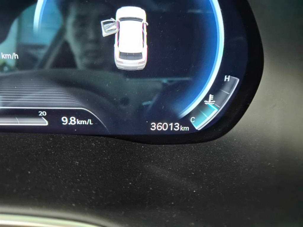 Genesis GV80 — photo 10