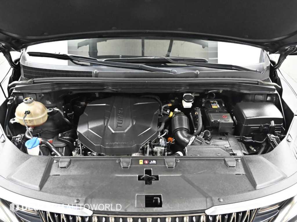 Kia Carnival — photo 06