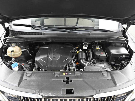 Kia Carnival — photo 06