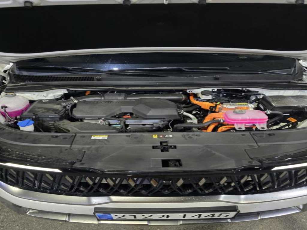 Kia Carnival — photo 18
