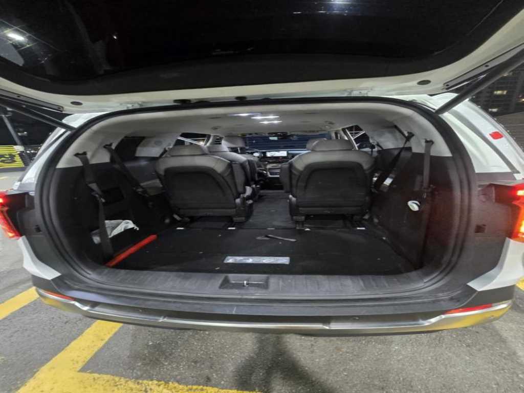 Kia Carnival — photo 20