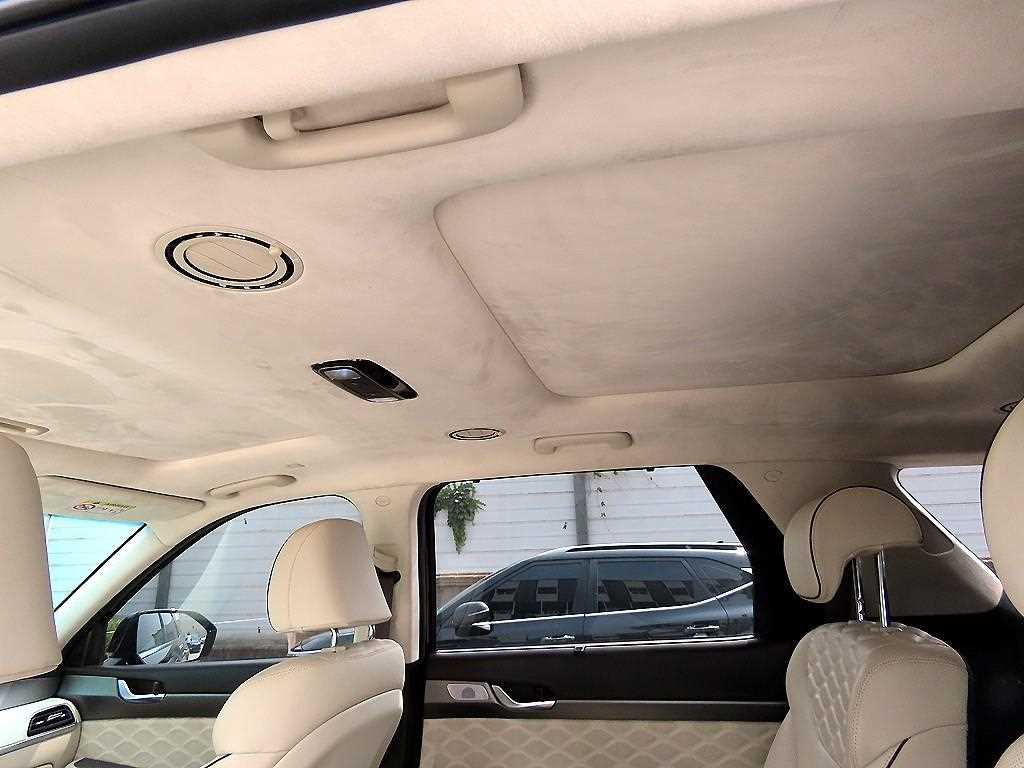 Hyundai Palisade — photo 14