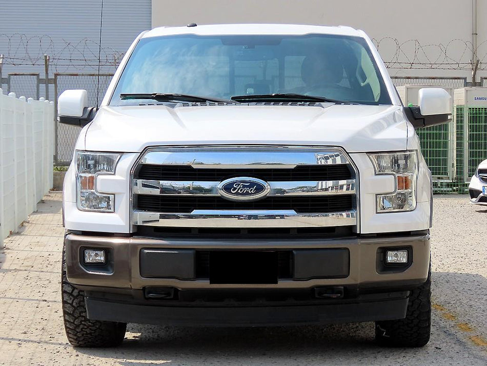 Ford F150 — photo 01