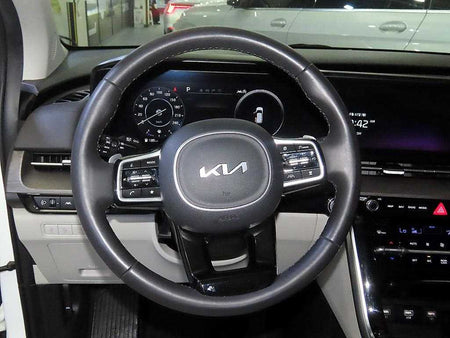 Kia Carnival — photo 08