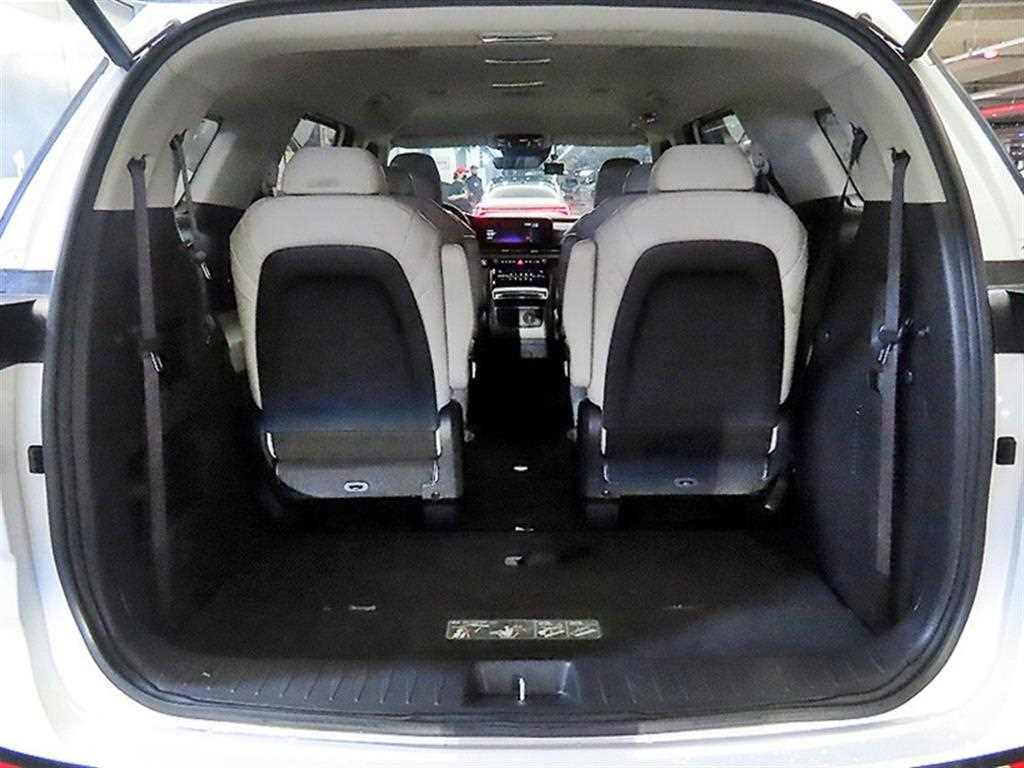 Kia Carnival — photo 16