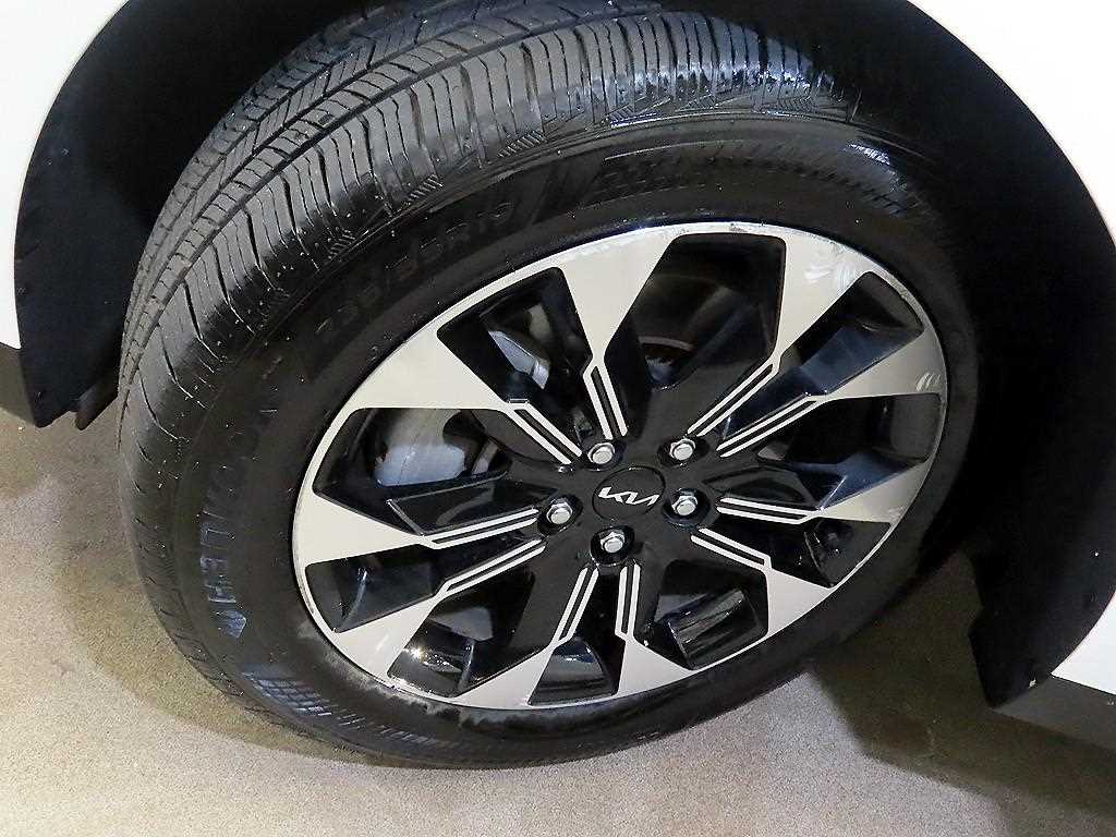 Kia Carnival — photo 20