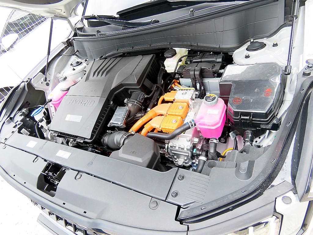 Kia Seltos — photo 19