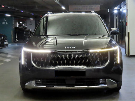 Kia Carnival — photo 02