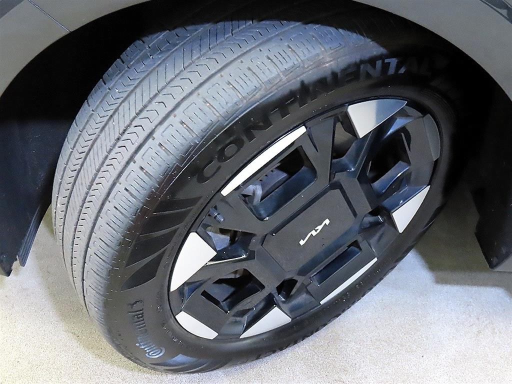 Kia Carnival — photo 20
