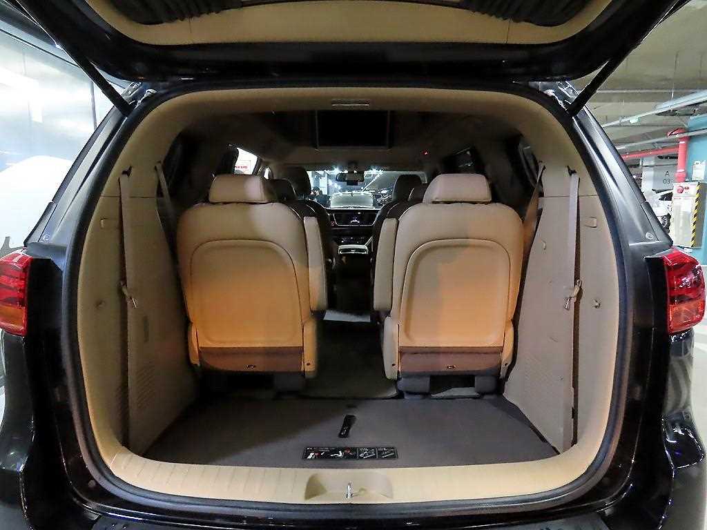 Kia Carnival — photo 16