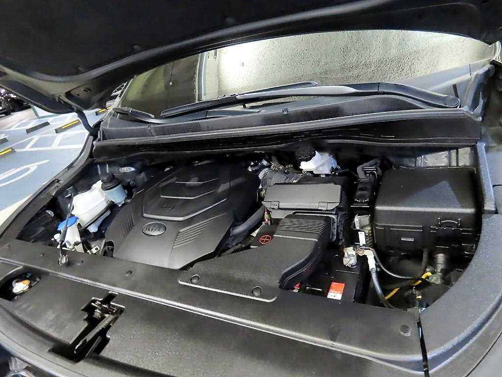 Kia Carnival — photo 19