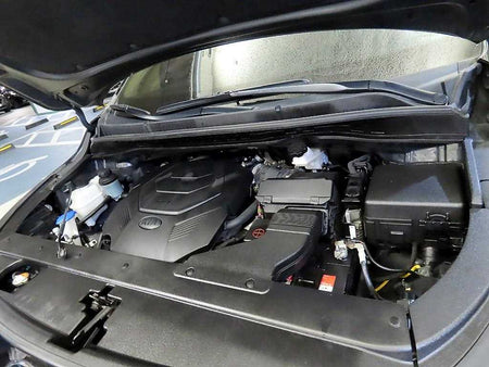 Kia Carnival — photo 19