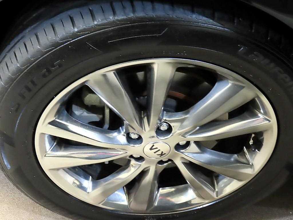 Kia Carnival — photo 20
