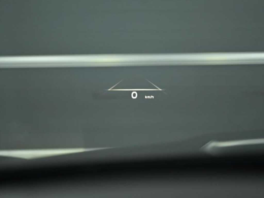 Kia K9 — photo 18