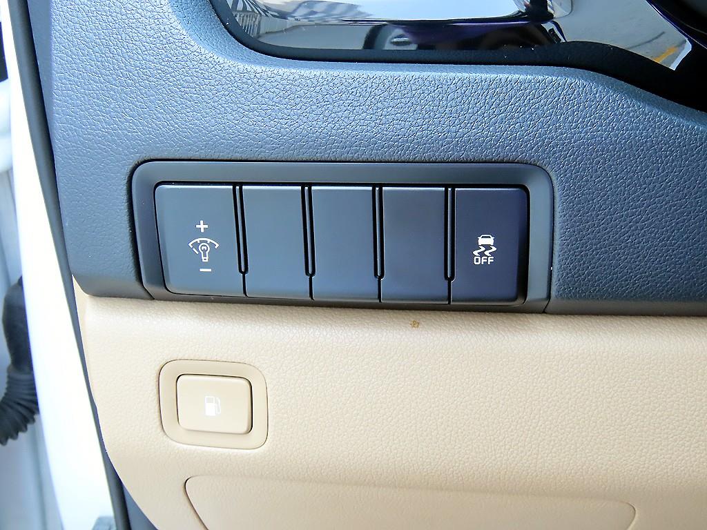 Kia Carnival — photo 13