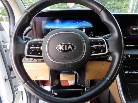 Kia Carnival — photo 09