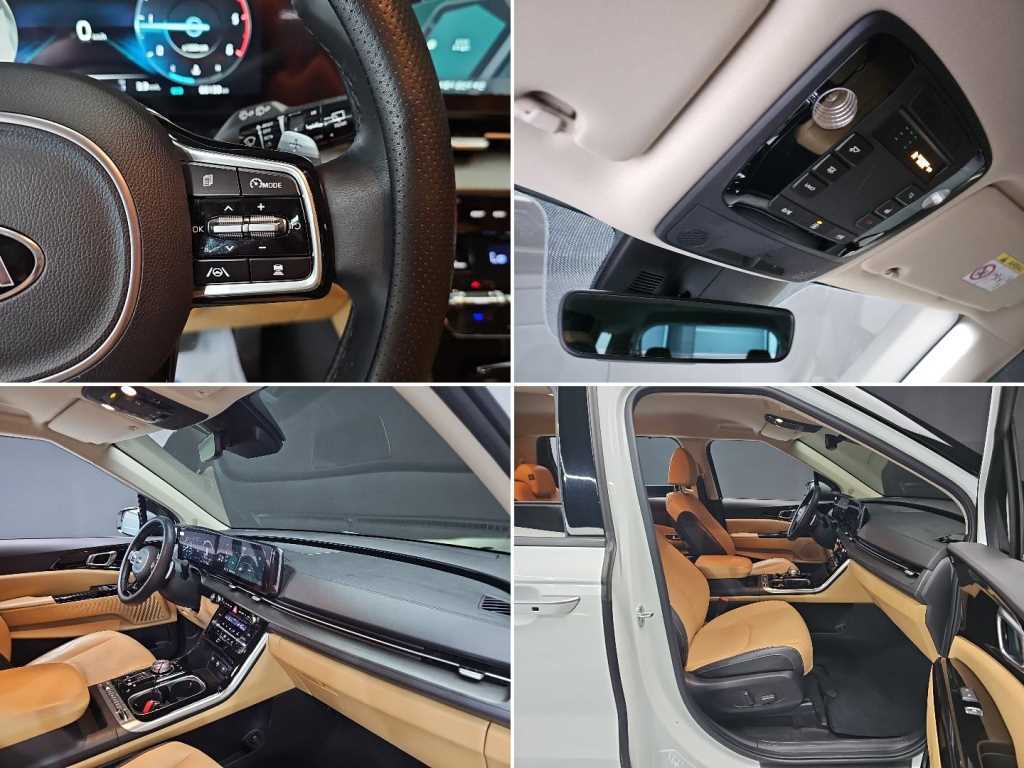 Kia Carnival — photo 19
