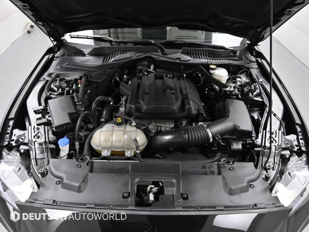 Ford Mustang — photo 06