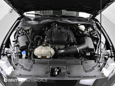Ford Mustang — photo 06