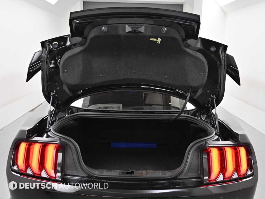Ford Mustang — photo 19
