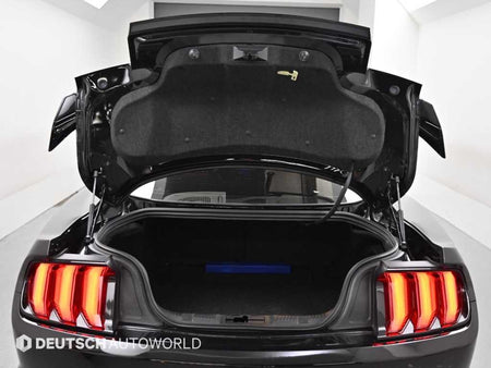 Ford Mustang — photo 19