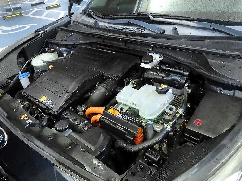 Kia Niro — photo 19