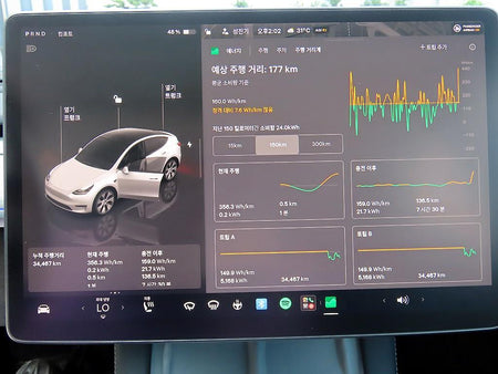 Tesla Model Y — photo 14